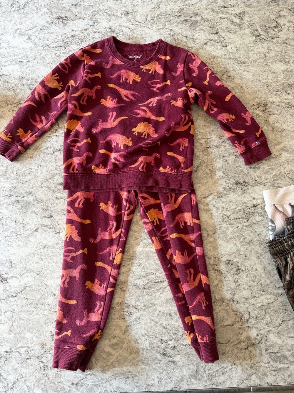 Cat & Jack Maroon Kids Set with Dinosaur Print